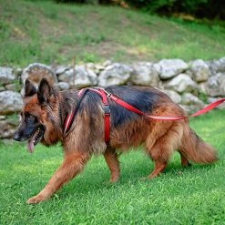 Ferplast DAYTONA P CROSS Alle Anzeigen 86 Ferplast DAYTONA P CROSS Alle Anzeigen