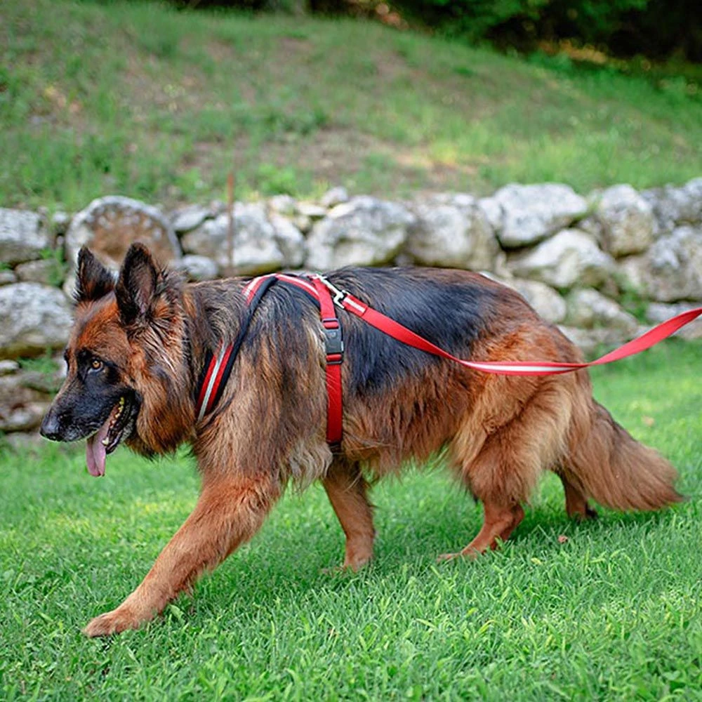 Ferplast DAYTONA P CROSS Alle Anzeigen 41 Ferplast DAYTONA P CROSS Alle Anzeigen