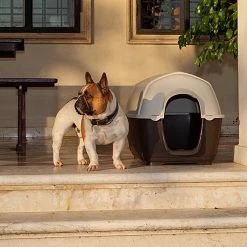 Ferplast Alle Anzeigen KENNY 35 Ferplast Alle Anzeigen KENNY