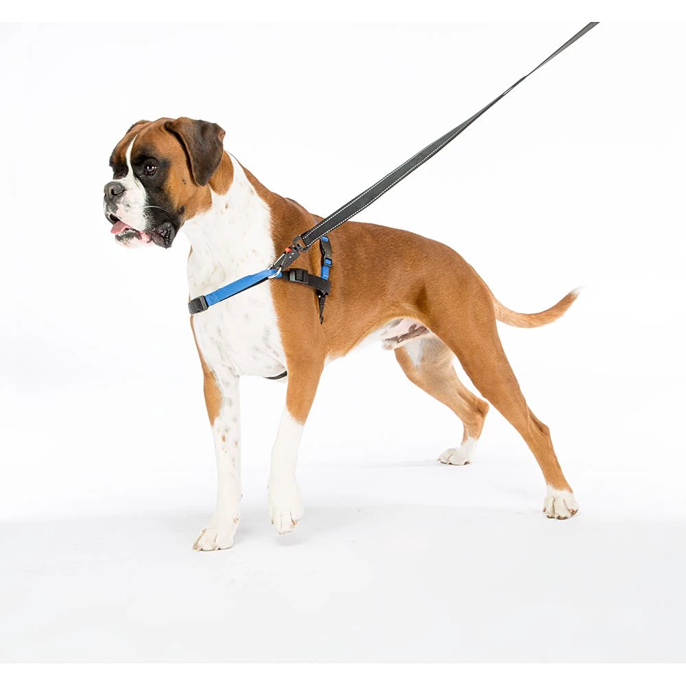 Ferplast COACH 14 Ferplast COACH