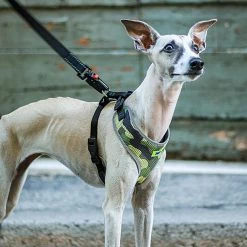 Ferplast Alle Anzeigen NIKITA P FASHION 39 Ferplast Alle Anzeigen NIKITA P FASHION