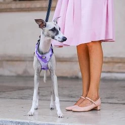 Ferplast Alle Anzeigen NIKITA P FASHION 43 Ferplast Alle Anzeigen NIKITA P FASHION