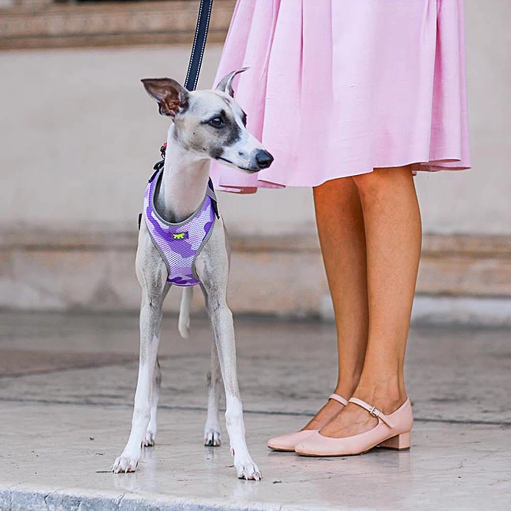 Ferplast Alle Anzeigen NIKITA P FASHION 22 Ferplast Alle Anzeigen NIKITA P FASHION