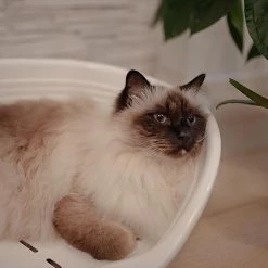 Ferplast SIESTA DELUXE 83 Ferplast SIESTA DELUXE