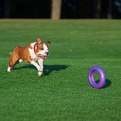 Ferplast PULLER MAXI