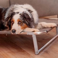 Ferplast Alle Anzeigen DREAM 33 Ferplast Alle Anzeigen DREAM