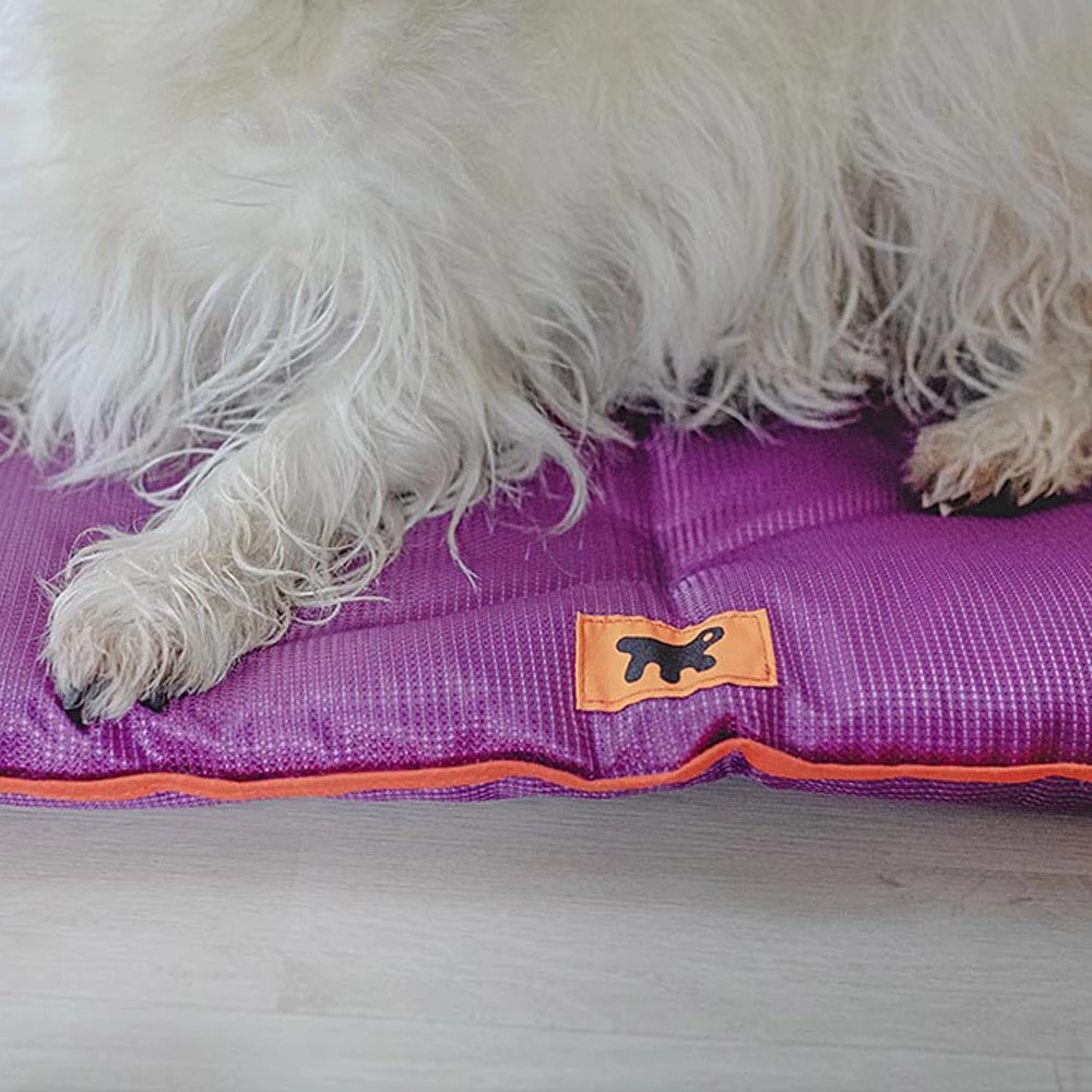 Ferplast Alle Anzeigen JOLLY 12 Ferplast Alle Anzeigen JOLLY