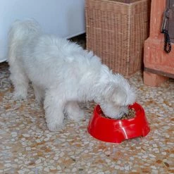 Ferplast MAGNUS SLOW Alle Anzeigen 32 Ferplast MAGNUS SLOW Alle Anzeigen