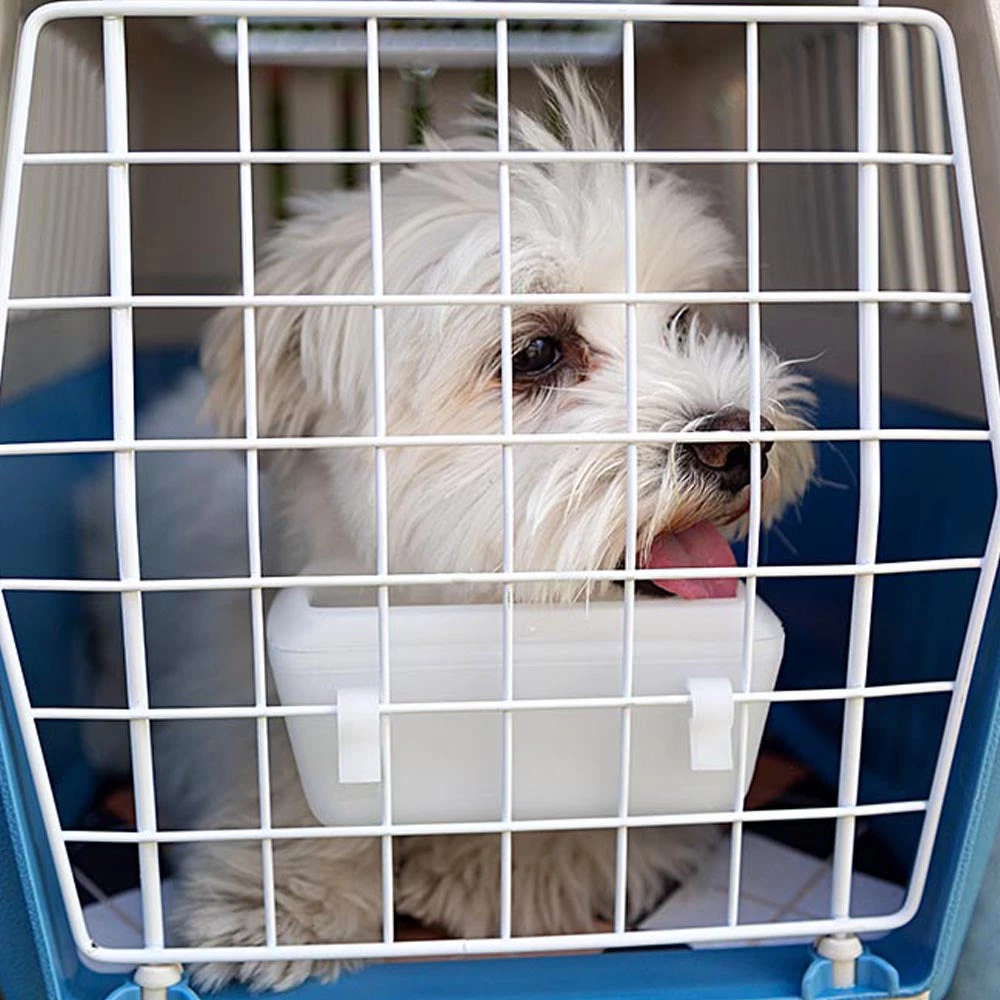 Ferplast ATLAS OPEN 6 Ferplast ATLAS OPEN