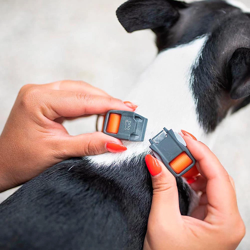 Ferplast Alle Anzeigen EVOLUTION C 23 Ferplast Alle Anzeigen EVOLUTION C