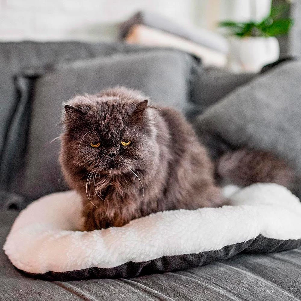 Ferplast RELAX F Alle Anzeigen 9 Ferplast RELAX F Alle Anzeigen