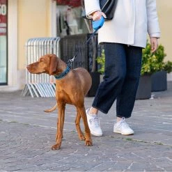 Ferplast FLIPPY ONE TAPE