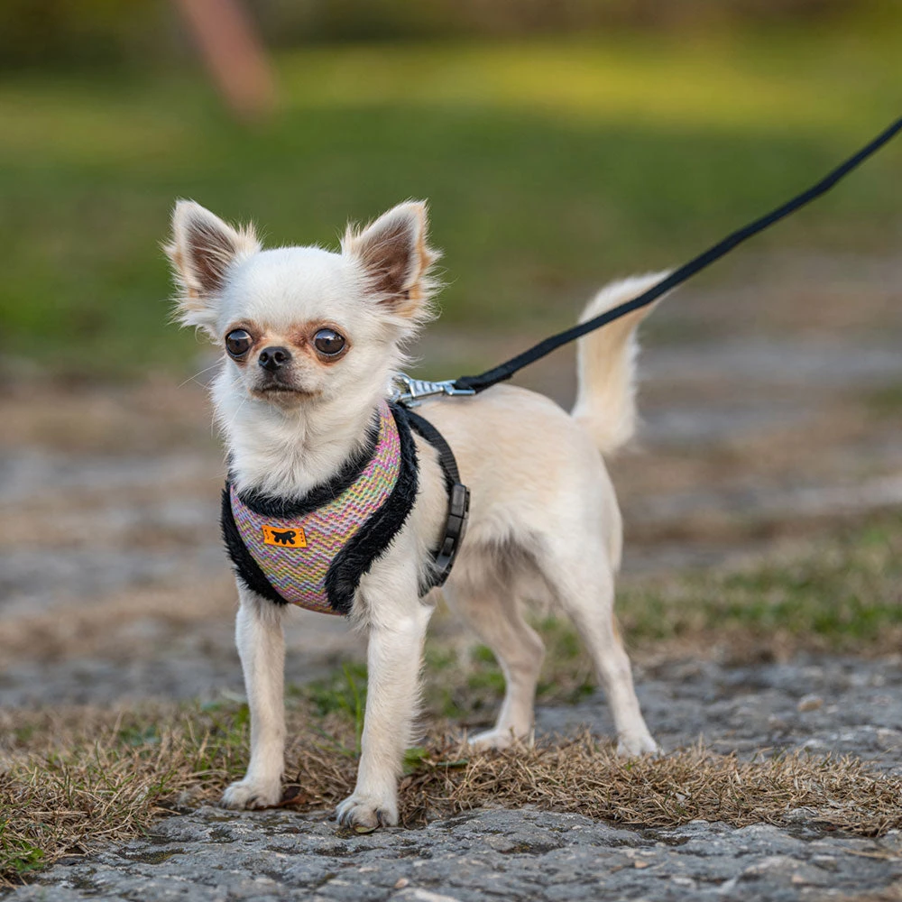 Ferplast NIKITA P FUR Alle Anzeigen 20 Ferplast NIKITA P FUR Alle Anzeigen