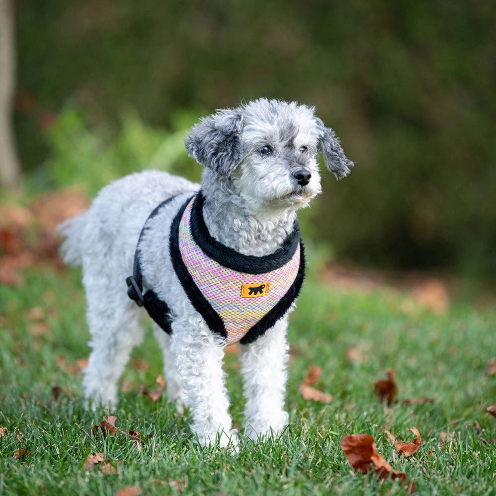 Ferplast NIKITA P FUR Alle Anzeigen 17 Ferplast NIKITA P FUR Alle Anzeigen