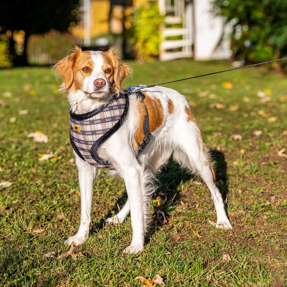 Ferplast NIKITA P FUR Alle Anzeigen 11 Ferplast NIKITA P FUR Alle Anzeigen