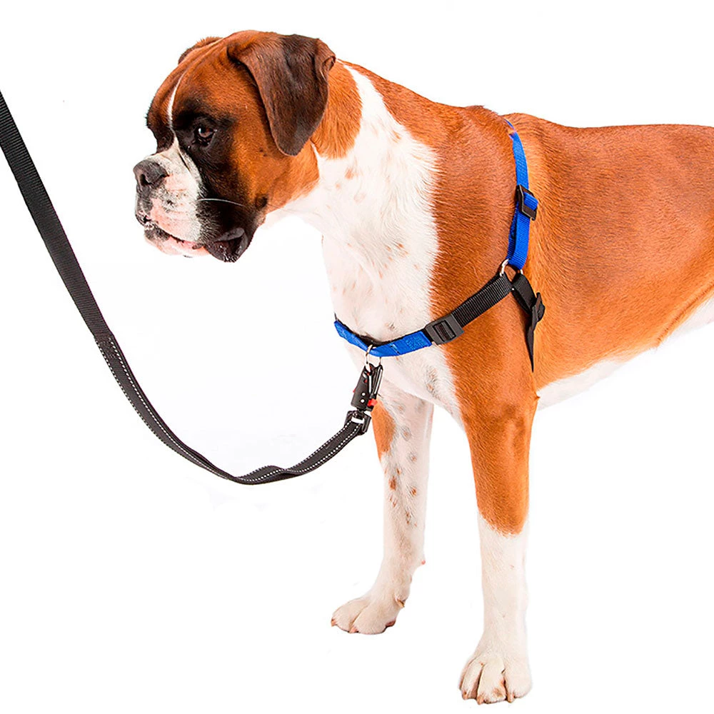 Ferplast COACH 15 Ferplast COACH