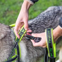 Ferplast Alle Anzeigen SPORT DOG P