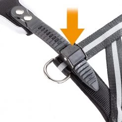 Ferplast Alle Anzeigen ERGOCOMFORT NORDIC