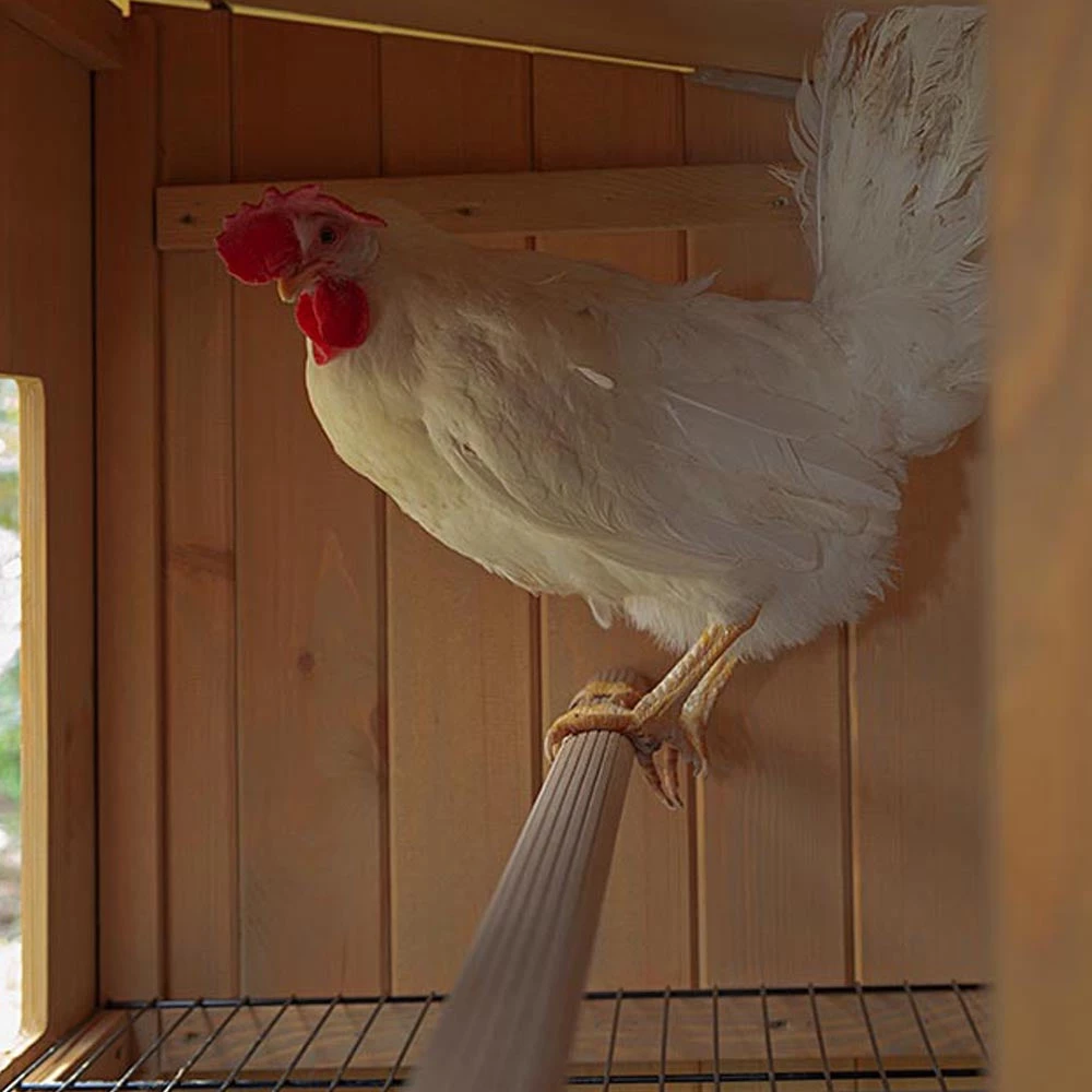 Ferplast HEN HOUSE 30 6 Ferplast HEN HOUSE 30