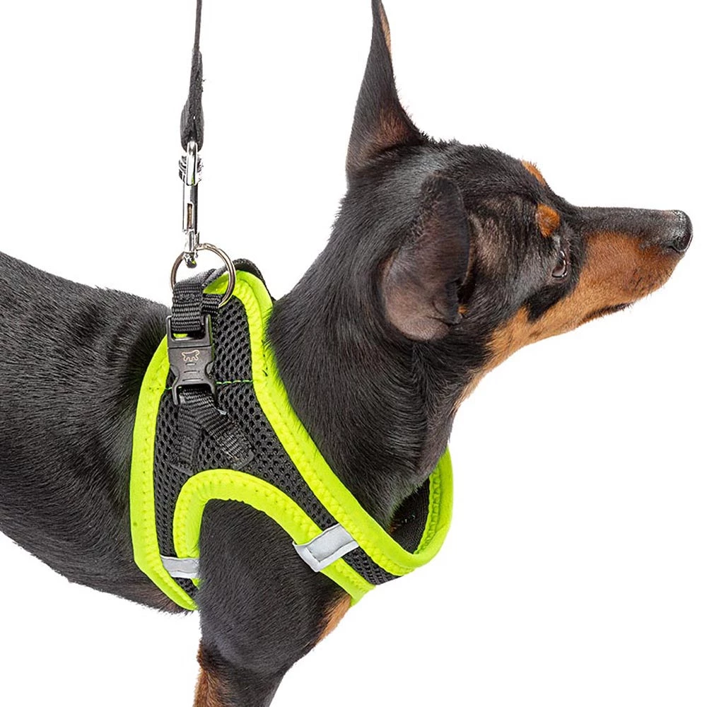 Ferplast KAORI P Alle Anzeigen 19 Ferplast KAORI P Alle Anzeigen