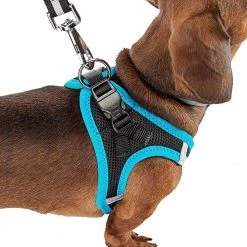 Ferplast KAORI P Alle Anzeigen 59 Ferplast KAORI P Alle Anzeigen