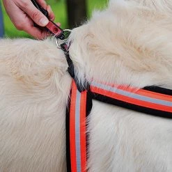 Ferplast AGILA REFLEX 5-9 Alle Anzeigen