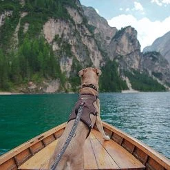 Ferplast Alle Anzeigen ERGOTREKKING 29 Ferplast Alle Anzeigen ERGOTREKKING