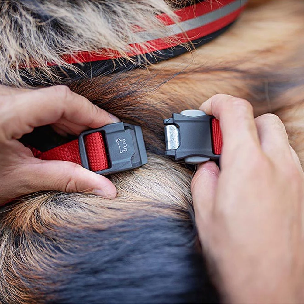 Ferplast DAYTONA P CROSS Alle Anzeigen 42 Ferplast DAYTONA P CROSS Alle Anzeigen