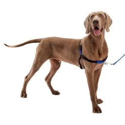 Ferplast COACH 24 Ferplast COACH