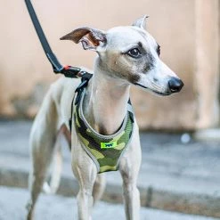 Ferplast Alle Anzeigen NIKITA P FASHION 40 Ferplast Alle Anzeigen NIKITA P FASHION