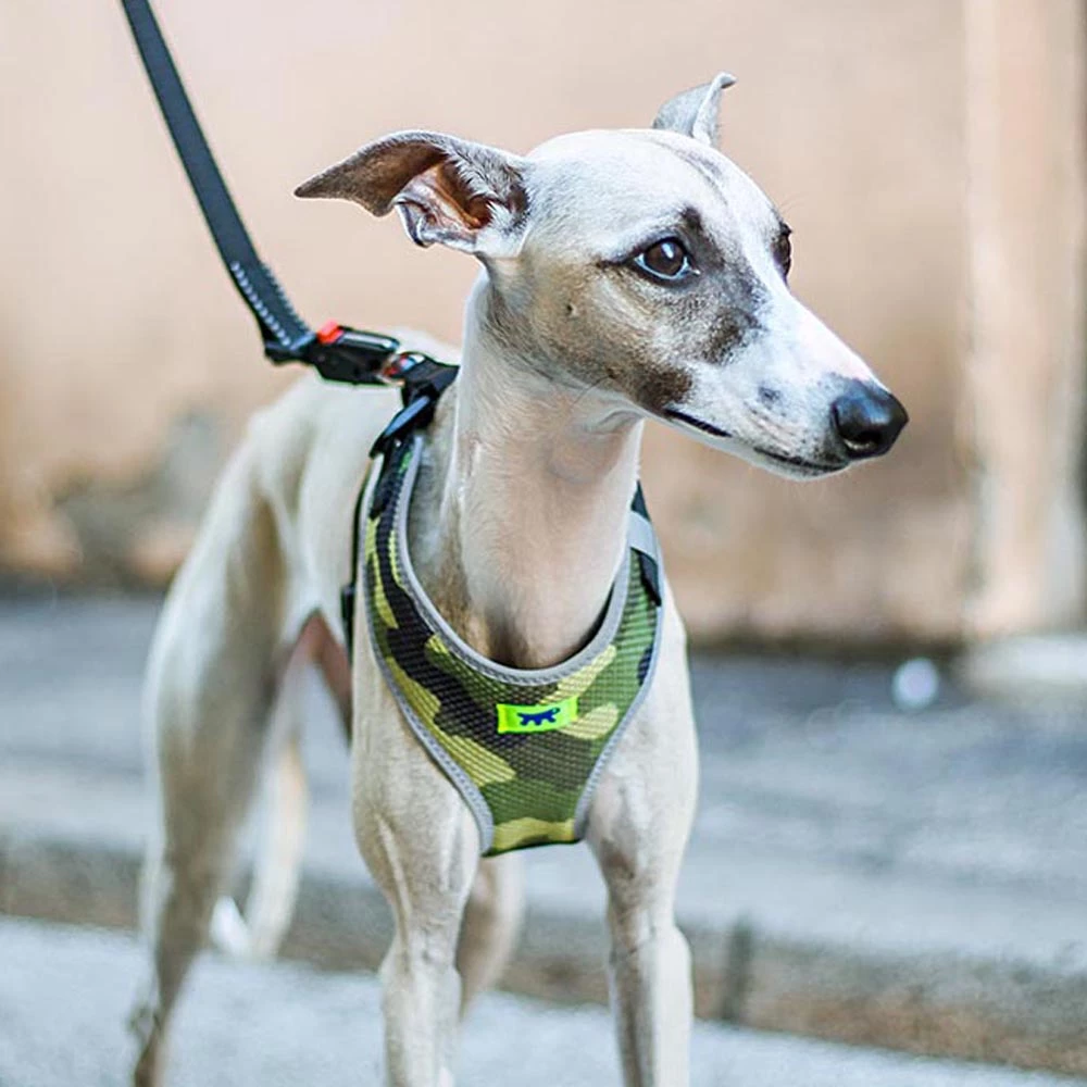 Ferplast Alle Anzeigen NIKITA P FASHION 19 Ferplast Alle Anzeigen NIKITA P FASHION