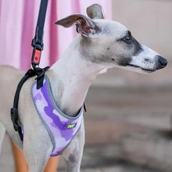 Ferplast Alle Anzeigen NIKITA P FASHION 44 Ferplast Alle Anzeigen NIKITA P FASHION