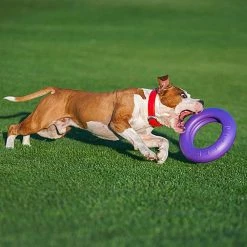 Ferplast PULLER MAXI