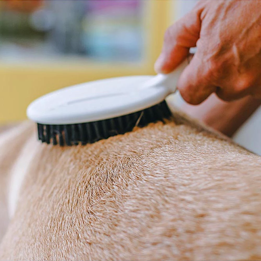 Ferplast Alle Anzeigen GRO 5760 Premium 5 Ferplast Alle Anzeigen GRO 5760 Premium