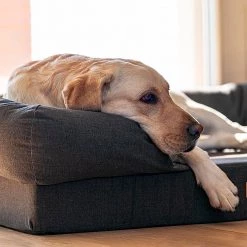 Ferplast MEMOR-ONE Alle Anzeigen