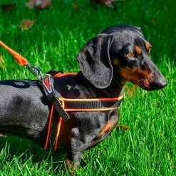 Ferplast AGILA FLUO 3-9