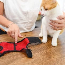 Ferplast JOGGING XL Alle Anzeigen 14 Ferplast JOGGING XL Alle Anzeigen