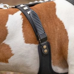 Ferplast Alle Anzeigen GIOTTO LUXOR BLACK P 25 Ferplast Alle Anzeigen GIOTTO LUXOR BLACK P