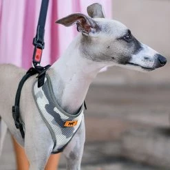 Ferplast Alle Anzeigen NIKITA P FASHION 37 Ferplast Alle Anzeigen NIKITA P FASHION