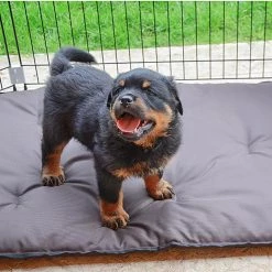 Ferplast Alle Anzeigen DOG TRAINING