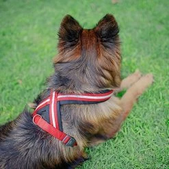 Ferplast DAYTONA P CROSS Alle Anzeigen 88 Ferplast DAYTONA P CROSS Alle Anzeigen