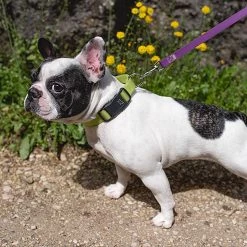 Ferplast Alle Anzeigen EVOLUTION C 39 Ferplast Alle Anzeigen EVOLUTION C