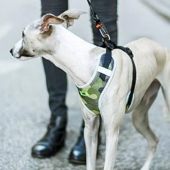 Ferplast Alle Anzeigen NIKITA P FASHION 41 Ferplast Alle Anzeigen NIKITA P FASHION