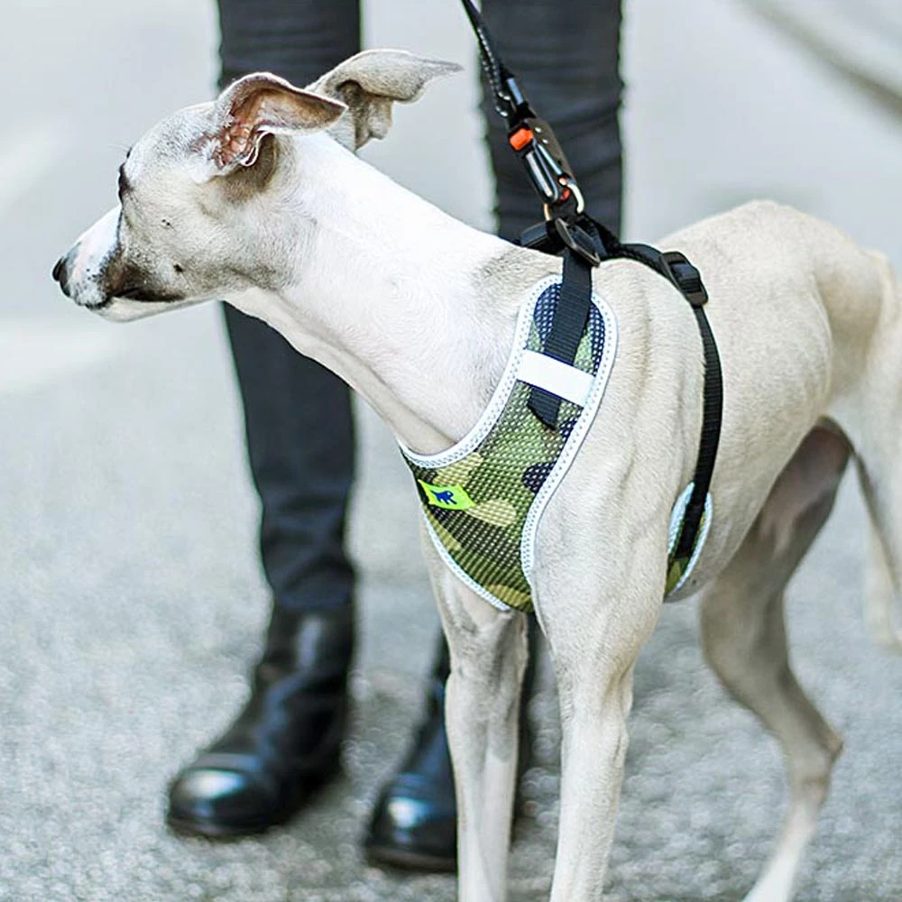 Ferplast Alle Anzeigen NIKITA P FASHION 20 Ferplast Alle Anzeigen NIKITA P FASHION