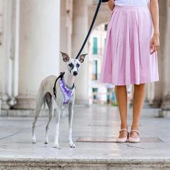 Ferplast Alle Anzeigen NIKITA P FASHION 45 Ferplast Alle Anzeigen NIKITA P FASHION