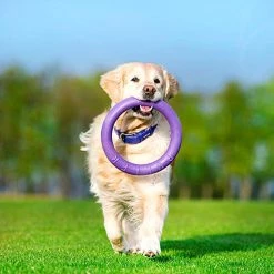 Ferplast PULLER STANDARD