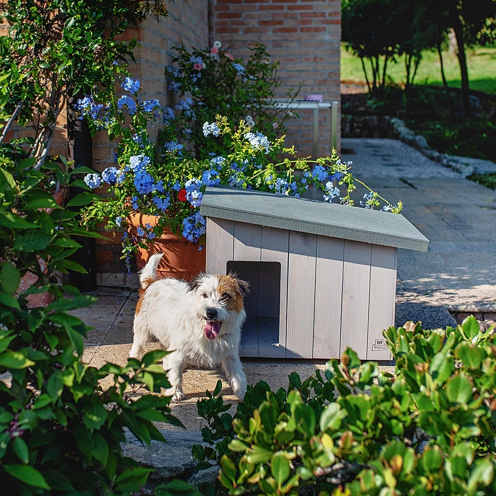 Ferplast Alle Anzeigen ARGO 17 Ferplast Alle Anzeigen ARGO