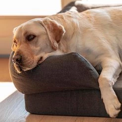 Ferplast MEMOR-ONE Alle Anzeigen