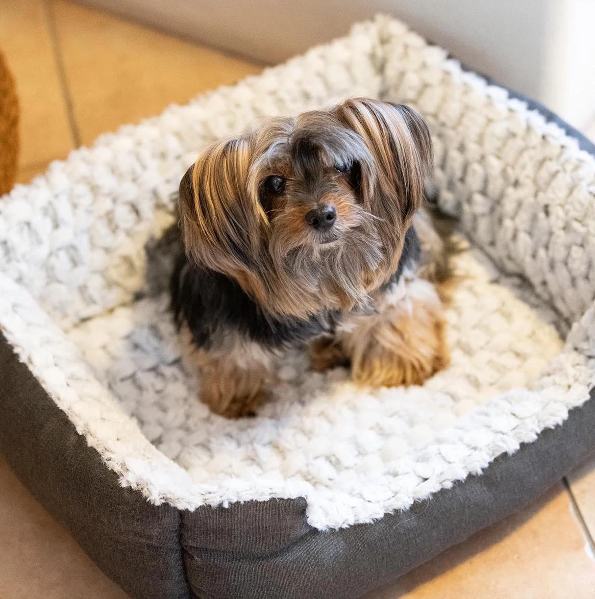 Ferplast SWEETIE 15 Ferplast SWEETIE