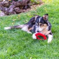 Ferplast SMILE Alle Anzeigen 50 Ferplast SMILE Alle Anzeigen